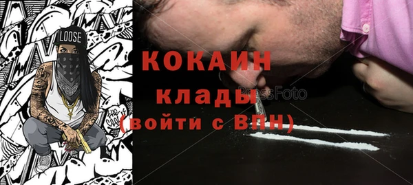 твердый Алексин