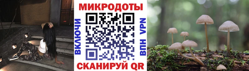 Псилоцибиновые грибы Psilocybine cubensis  площадка формула  Пыталово 